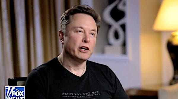 Elon Musk (Video screenshot)